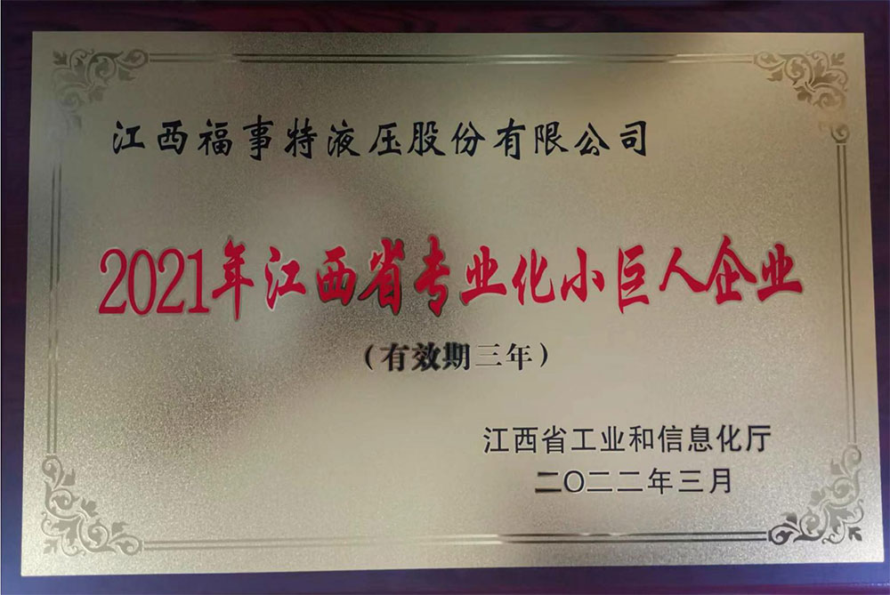240G6194021131 2021年江西省专业化幼巨人企业