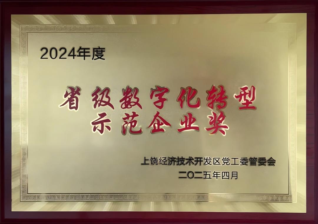 250G2140J1K8 2024年度省级数字化转型示范企业